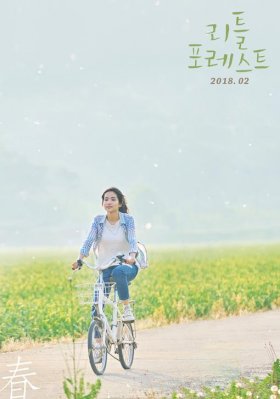 Постер «Маленький лес»